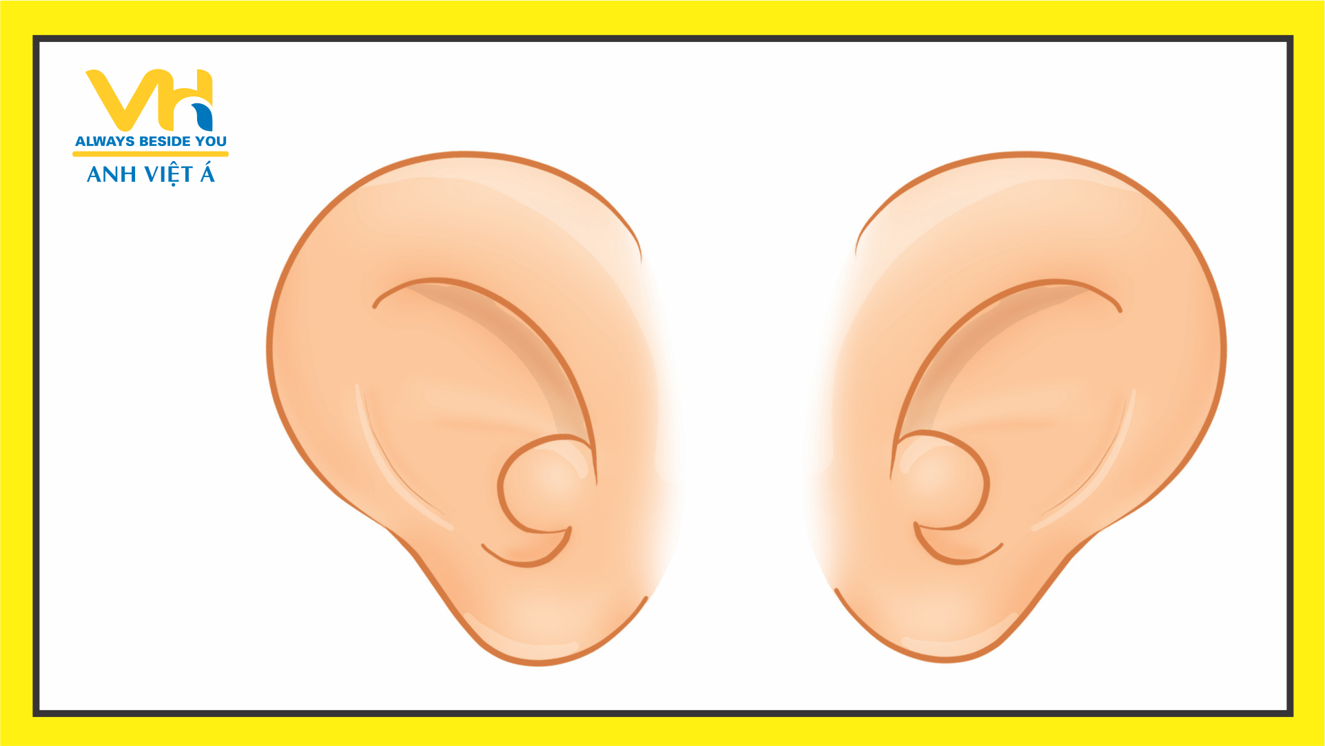 Ears.png